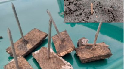 Viral Teror Paku Berkarat di Savana Bromo, Motor dan Jip Wisata Jadi Korban