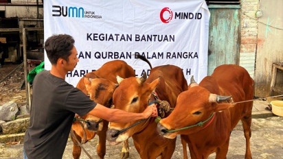 MIND ID Dukung Peningkatan Gizi Nasional Melalui Penyaluran 732 Hewan Kurban di Hari Raya Idul Adha 1446 H