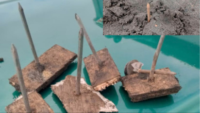 Jebakan Paku Berkarat Mengintai Wisatawan di Savana Bromo, Viral di Medsos