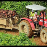 Bakrie Sumatera Plantations Bukukan Laba Bersih Rp16 Miliar, Begini Kinerja UNSP Kuartal II-2025