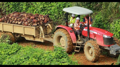 Penjualan dan Laba PT Bakrie Sumatera Plantation Tbk (UNSP) Kompak Naik di Kuartal I-2025