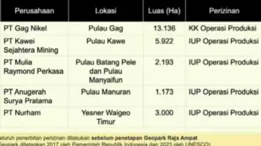Data perusahaan yang melakukan aktivitas tambang di Raja Ampat
