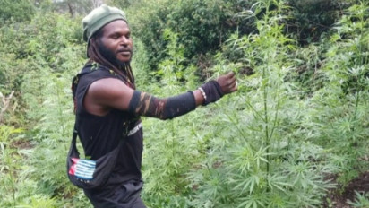 Kaops Satgas Damai Cartenz: KKB Egianus Kogoya Punya Kebun Ganja di Kurima