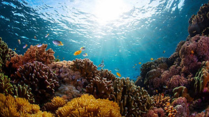 Tak Terima Ekosistem Laut Rusak, Warga Pulau Pari Gugat ke PTUN