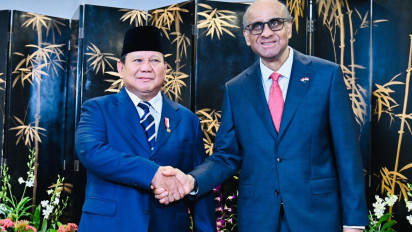 Prabowo Dorong Kolaborasi Danantara-Temasek, Fokus Energi Terbarukan dan Zona Industri Hijau
