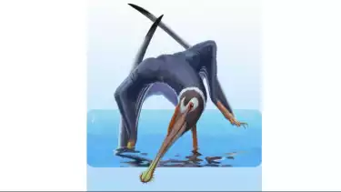 Rekonstruksi artistik Spathagnathus roeperi