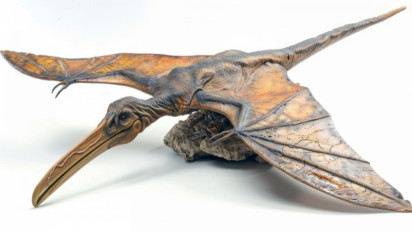 Ilmuwan Temukan Fosil Kerabat Dinosaurus, Setelah Diteliti Ternyata Termasuk Spesies...