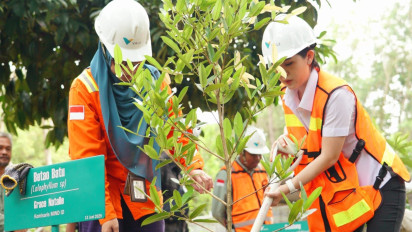 Reforestasi Capai 3 Kali Lipat Area Tambang, Vale Indonesia Komitmen Jaga Lingkungan