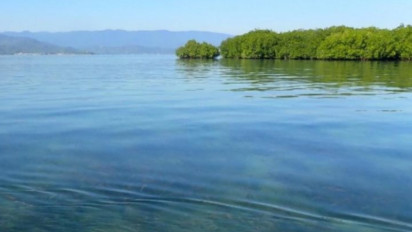 Pulau Kecil Dikeruk Tanpa Izin! KKP Bongkar Ribuan Usaha Tambang dan Wisata Ilegal