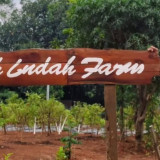 Momen Berbagi yang Berdampak Sosial ke Penjuru Negeri