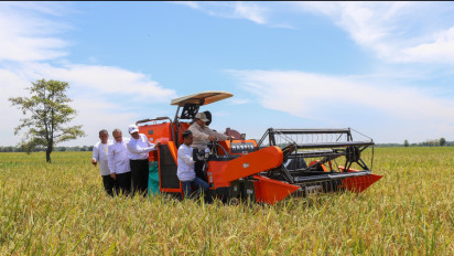 FAO: Prediksi Produksi Beras Indonesia Capai 35,6 juta ton, Cetak Sejarah Baru