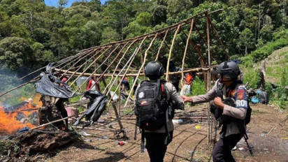 25 Hektare Ladang Ganja di Aceh Berhasil Dibongkar, Kurir dan Pengemas Jadi Tersangka