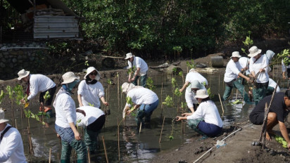 Aksi Penanaman 1.000 Pohon Mangrove Berhasil Digelar, Kali Ini Usung Tema Beauty for a Better Life