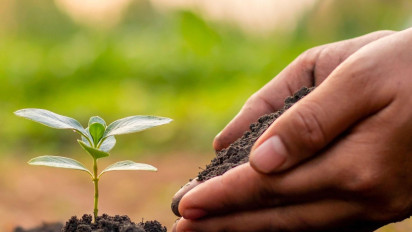 Peringatan Hari Lingkungan Hidup Sedunia, Peruri Serahkan 255 Bibit Pohon ke DLH Karawang