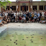 PAMA Group Gandeng Media Selamatkan Satwa Langka di Pulau Sangalaki Kalimantan Timur