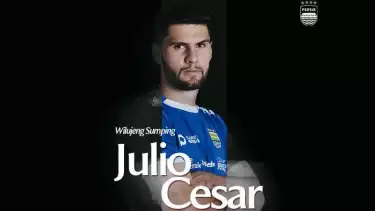 Bek baru Persib Bandung, Julio Cesar