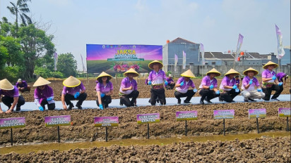 Jamintel: Banten Harus Bisa Swasembada Pangan