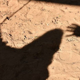 Badut Jalanan Sodomi Dua Anak di Bekasi, Naik ke Atap Rumah Kosong saat Hendak Ditangkap, Berakhir Terpeleset hingga Jatuh