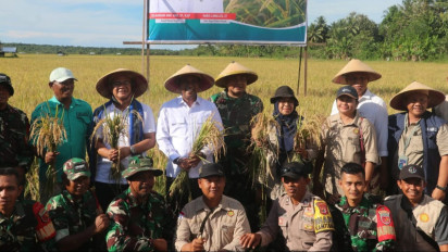 200 Hektar Padi Dipanen, Bupati Maluku Tengah: Kami Terus Dorong Peningkatan Produksi