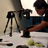 Digitalisasi dan Merawat Imajinasi Kolektif Lampung Kuno