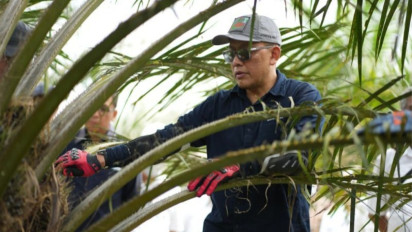 PTPN PalmCo Pacu Strategi Kinerja Agar ROA Naik 10 Persen Pada 2029