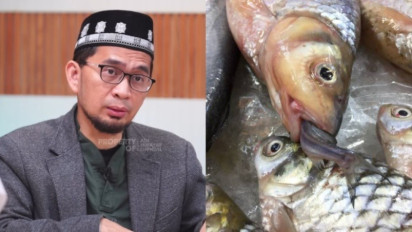 Makan Ikan Hasil Memancing dengan Umpan Cacing dan Katak, Haram atau Tidak? Justru Hukumnya Kata Ustaz Adi Hidayat....