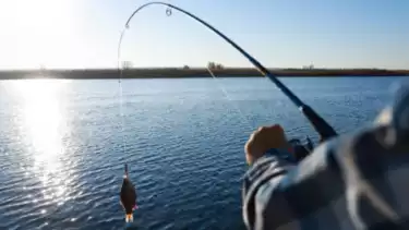 Ilustrasi memancing ikan