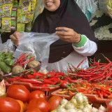 Harga Pangan Hari Ini 6 Agustus 2026: Cabai Rawit Rp59.150 per Kilogram hingga Telur Ayam Ras Rp29.550 per Kilogram