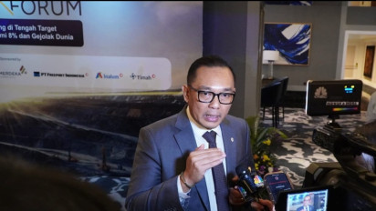 Wamen Investasi Dorong Reformasi Demi Target Ekonomi 8 Persen