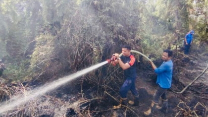 BMKG Nyatakan Pantai Barat Aceh Masih Berpotensi Terjadi Karhutla Selama Juli