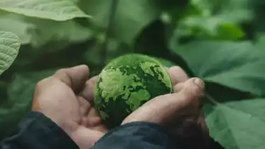 Sadar Gak Sih Indonesia Paru-Paru Dunia, Yuk Serius Perangi Emisi Karbon Menuju Net Zero Emisi 2060