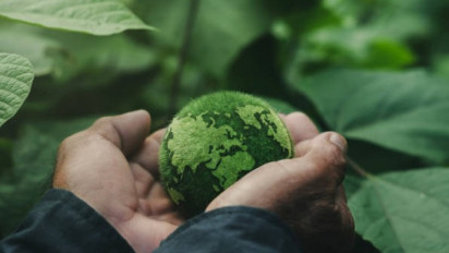 Sadar Gak Sih Indonesia Paru-Paru Dunia, Perangi Emisi Karbon Menuju Net Zero Emisi 2060