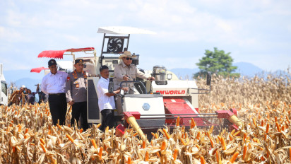 Mentan Tegaskan Produksi Jagung Nasional Surplus