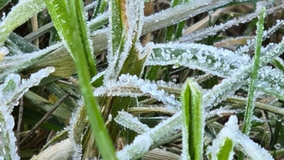 BMKG Sebut Suhu Minimum di Dieng Capai Minus 2 Derajat Celcius, Fenomena Embun Upas Muncul