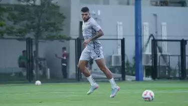 Pemain Persib Bandung, Berguinho