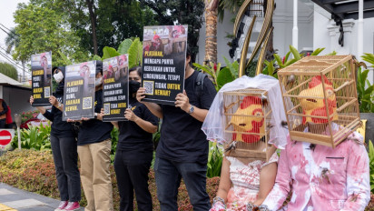 Aktivis Perlindungan Hewan Desak Bisnis Perhotelan Mewah untuk Mengadopsi Kebijakan Telur Bebas Sangkar