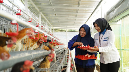 Bantu Ekonomi dan Pangan, PNM Bagikan 240 Ekor Ayam di Kampung Madani Kopeng