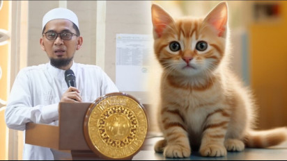 Jangan Disepelekan, Pelihara Kucing di Rumah Ternyata Punya Keistimewaan Khusus, Ustaz Adi Hidayat Jelaskan ini dari Kisah...