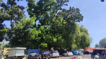 Pemkot: Perubahan Cuaca Sebabkan Kasus ISPA di Bengkulu Meningkat