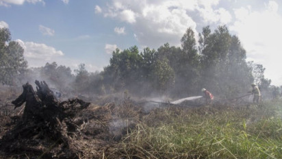 Tersangka Karhutla di Riau Bertambah, Kini Jadi 51 Orang