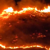 Dua dari 8 Wilayah yang Alami Karhutla di Sumbar Berstatus Tanggap Darurat Bencana