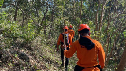 Pergi Mencari Kayu di Kebun, Seorang Lansia di Sikka Dilaporkan Hilang