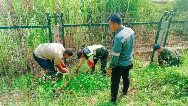Kereta Cepat Whoosh Berhenti Mendadak Akibat Menbarak Biawak Melintas di Jaluar KCIC