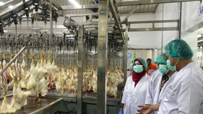 Komisi B DPRD Kudus Sidak RPH Unggas Pastikan Proses Sembelih Halal