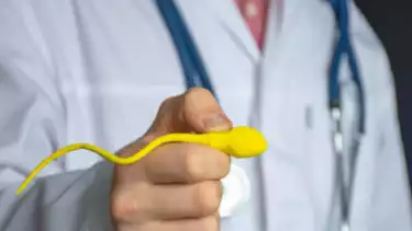Mengeluarkan Sperma Setiap Hari Memangnya Ada Manfaatnya? Ternyata Begini Dampaknya Dari Segi Kesehatan