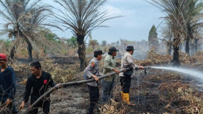 BPBD Masih Berupaya Pemadaman Lahan Terbakar di Musi Banyuasin 