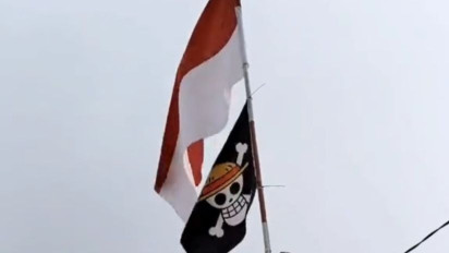 Fenomena Bendera One Piece Berkibar, DPR: Budaya Pop Tak Boleh Ganggu Kebangsaan
