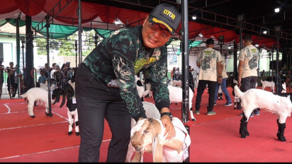 Sambut Kemerdekaan RI, Kodim 0708 Purworejo Gelar Kontes Kambing Ras Kaligesing Berhadiah Puluhan Juta
