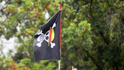 Wakil Ketua MPR Soal Bendera One Piece Jadi Media Kritik: Demokrasi Bukan Berarti Bebas Tanpa Batas