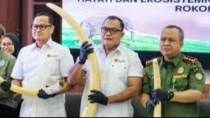 Bareskrim Polri Usut Tambang Ilegal di Kalteng, Buru Seorang Terlapor